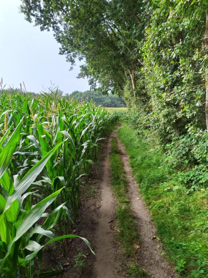RodereschOeroeboeroe公寓 外观 照片